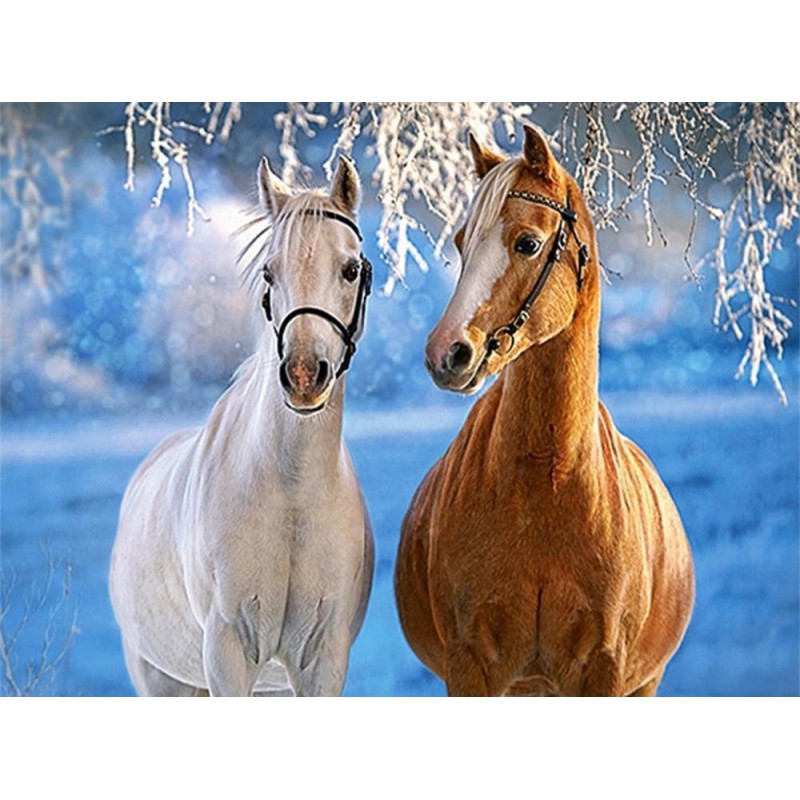 Weißes und braunes Pferd...