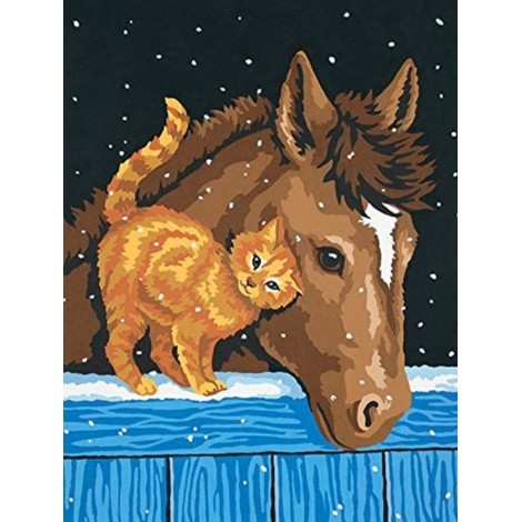 Das Fohlen und die Katze