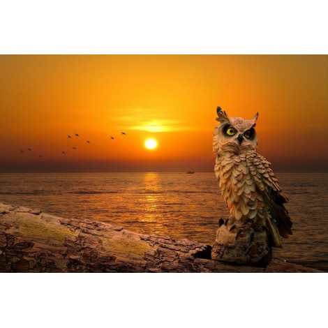 Eule bei Sonnenuntergang