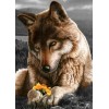 Wolf mit einer Blume