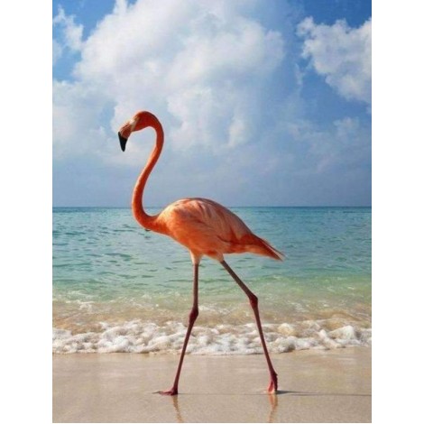 Flamingo am Strand