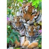 Die Familie Tiger