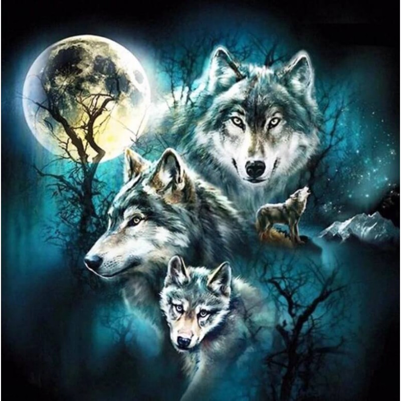 Vier Wölfe bei Voll...
