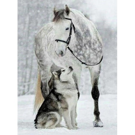 Wolf und Pferd im Schnee