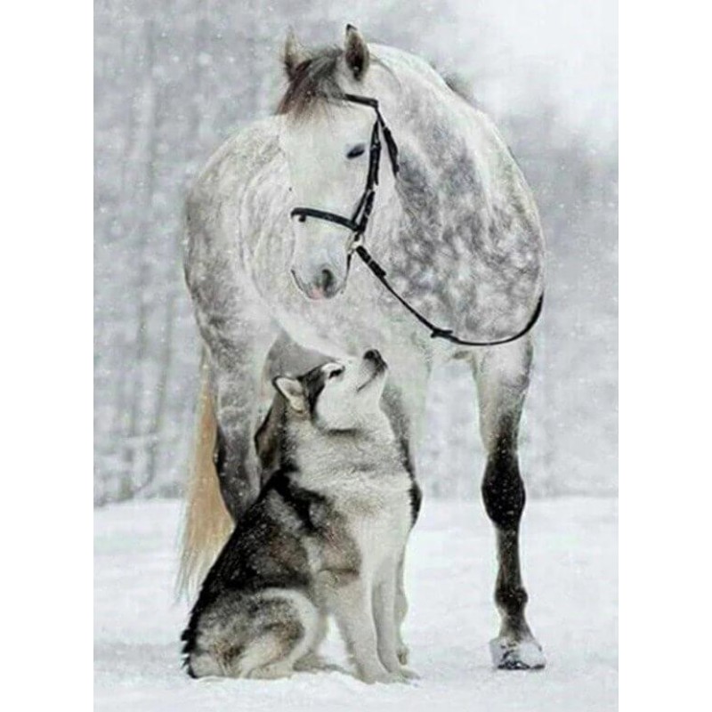 Wolf und Pferd im Sc...