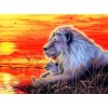Löwen bei Sonnenuntergang