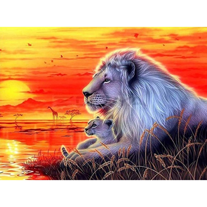 Löwen bei Sonnenunt...