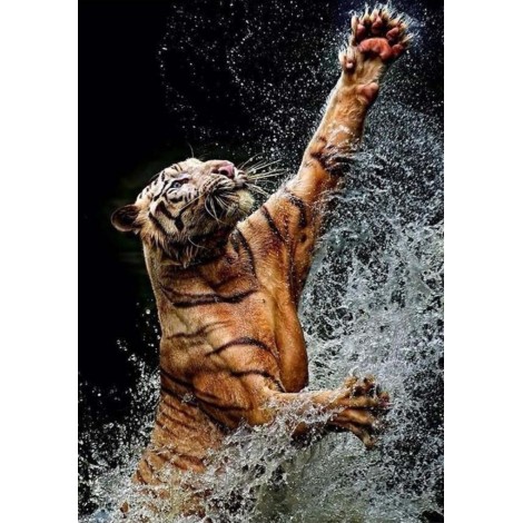 Tiger spielt mit Wasser