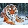 Schnee Tiger