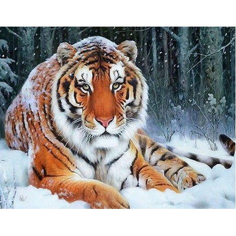 Schnee Tiger