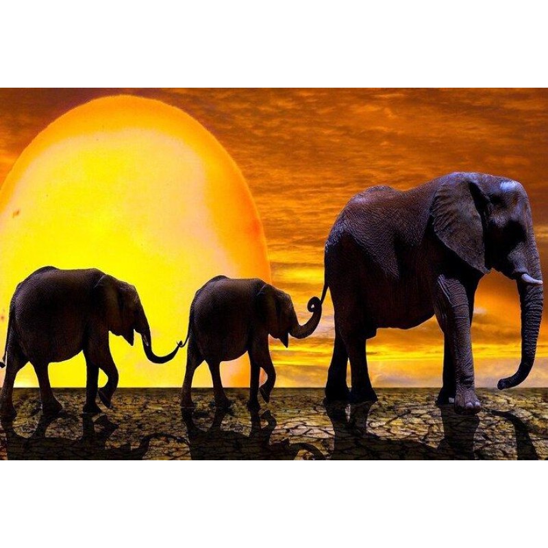 Familie Elefanten