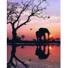 Elefanten Silhouette