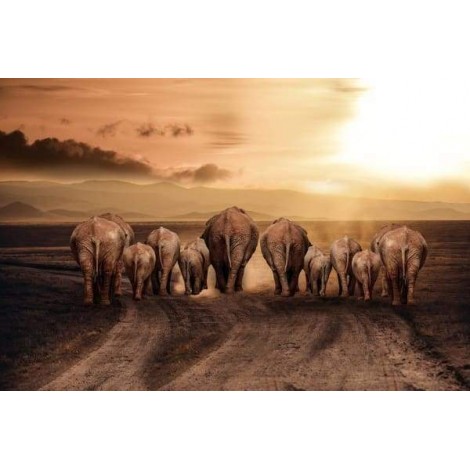 Elefanten Familie unterwegs