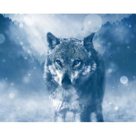 Wolf im Winter