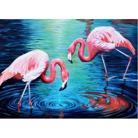 Flamingos im Wasser