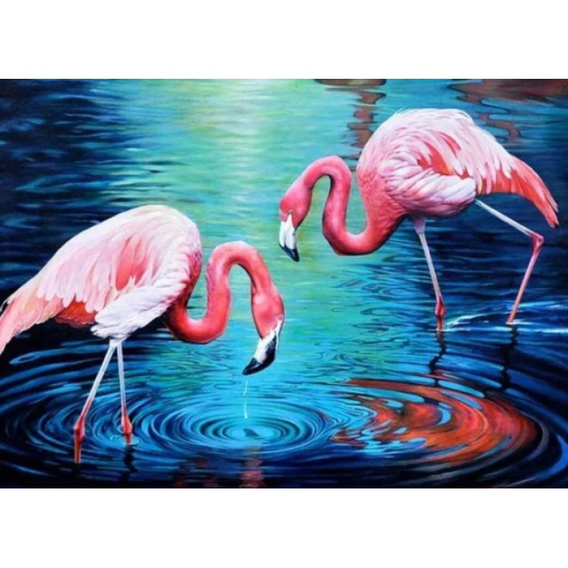 Flamingos im Wasser