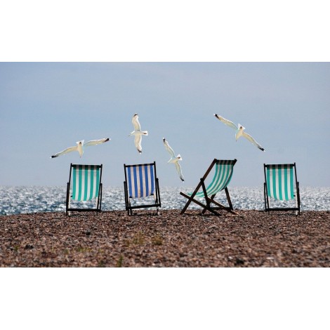 Strandkörbe und Möwen