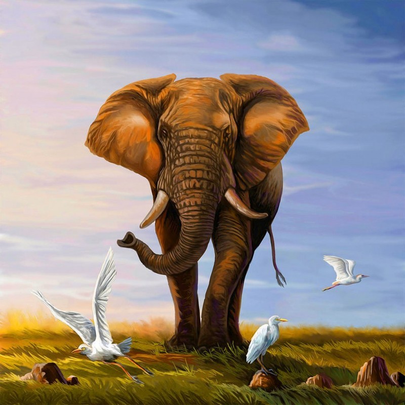 Elefant mit Vögeln