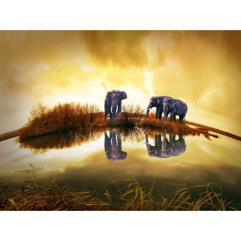 Elefanten Panorama