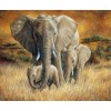Elefantenfamilie im Gras