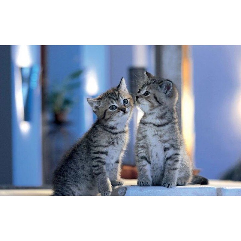 Bruder und Schwester...