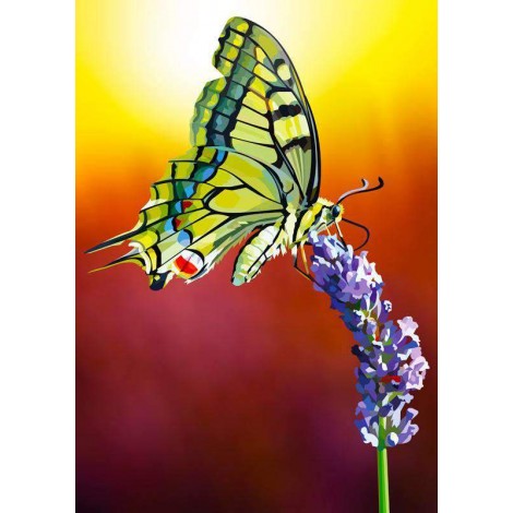 Schmetterling auf Lavendel