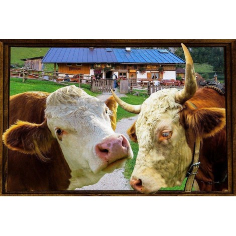 Kühe in einer Liste