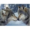 Verliebte Wölfe