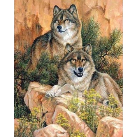 Wölfe zusammen auf einem Felsen