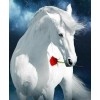 Weißes Pferd mit roter Rose