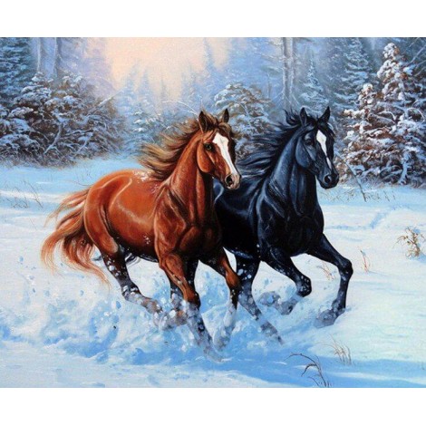 Pferde rennen im Schnee