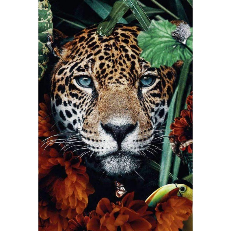 Leopardportrait im D...