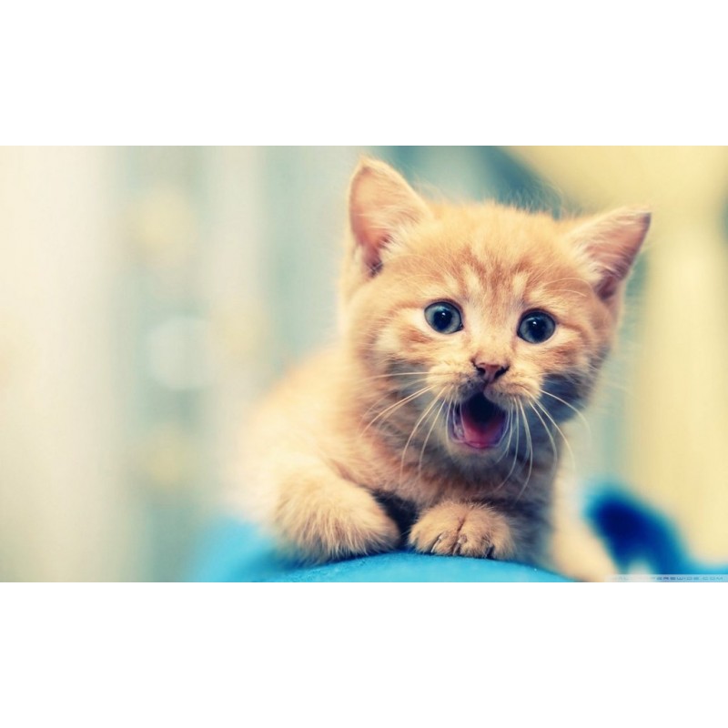 Ich bin nicht schock...