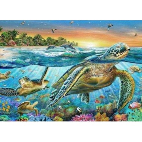 Schildkröte Tropischer Fisch