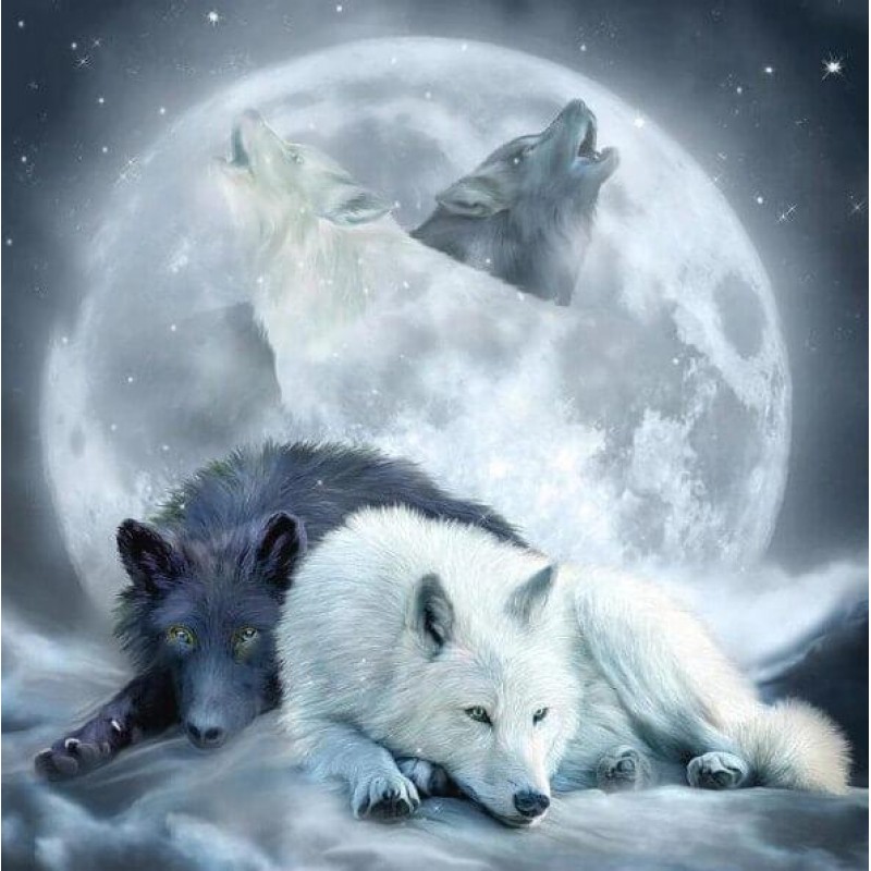 Wölfe in der Nacht