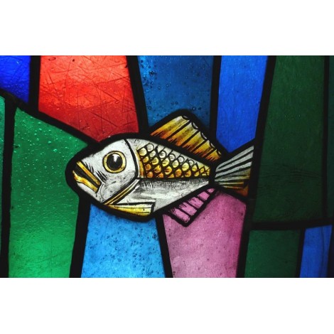 Fische im Meer der Farben