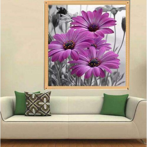 Lila Gänseblümchen