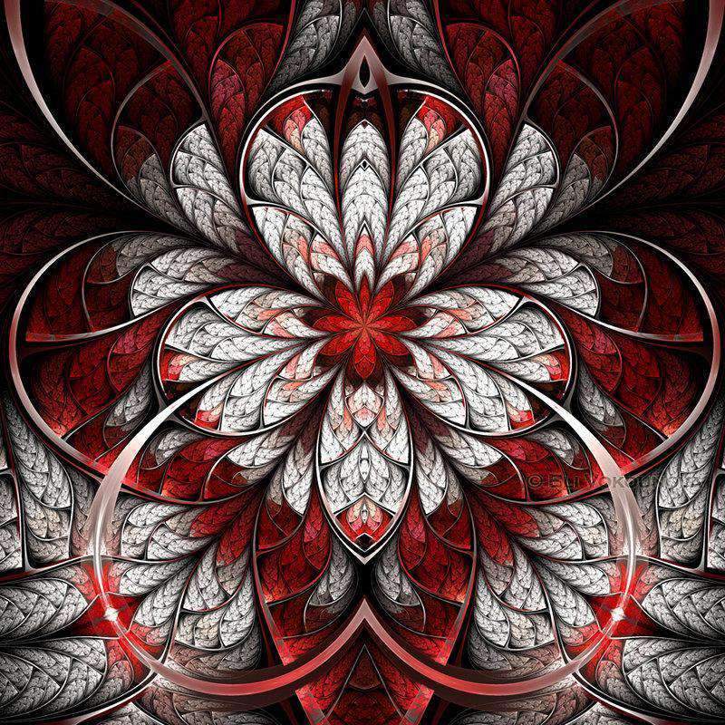 Abstrakte Blumen Rot