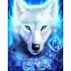 Blauer Feuer Eiswolf