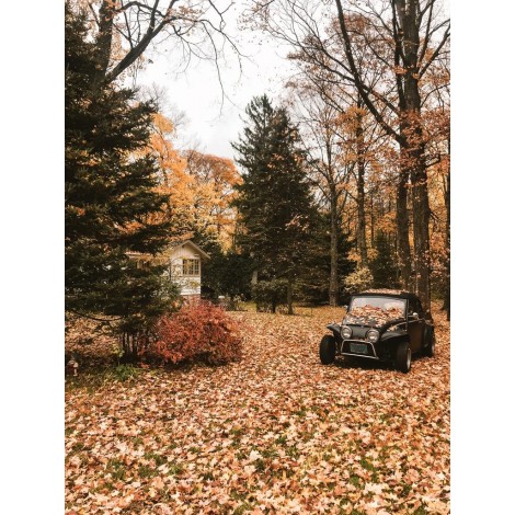 Verlassenes Auto im Wald