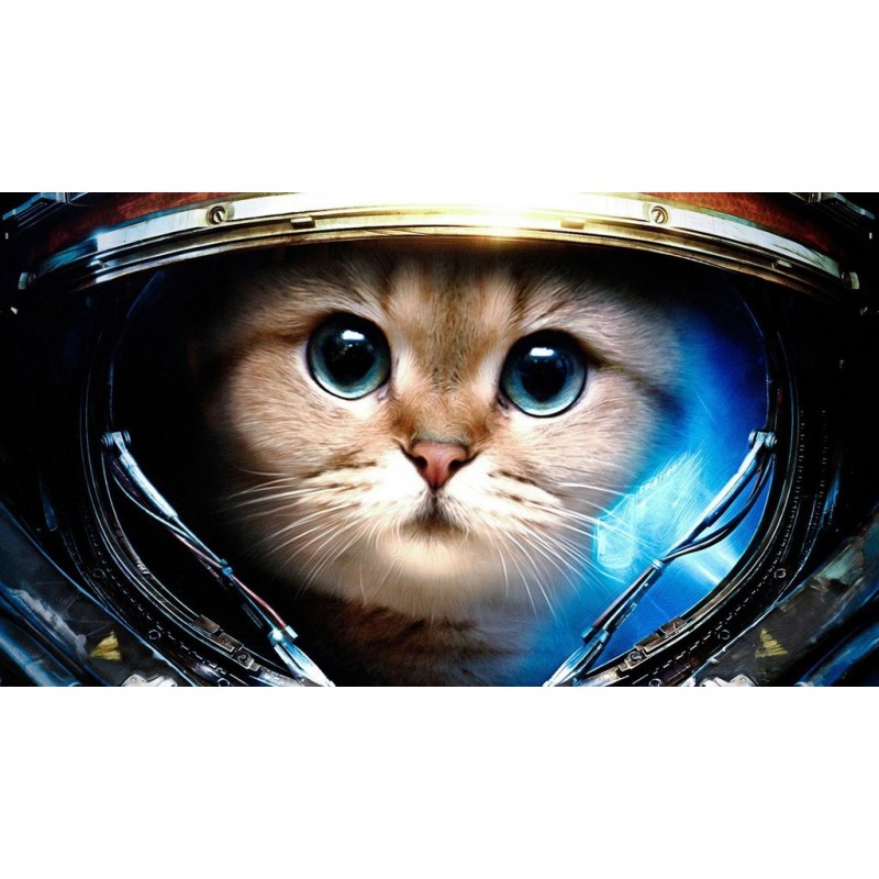 Astronaut Katze