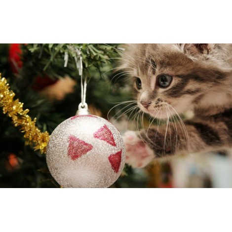 Kätzchen spielt mit Weihnachtskugel