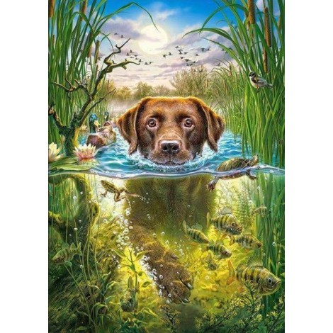 Hund fröhlich durchs Wasser