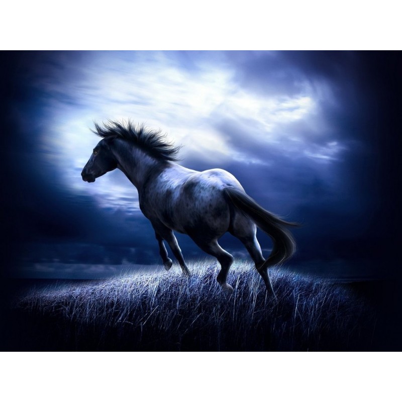 Dunkles verträumtes...