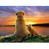 Hund und Katze bei Sonnenuntergang