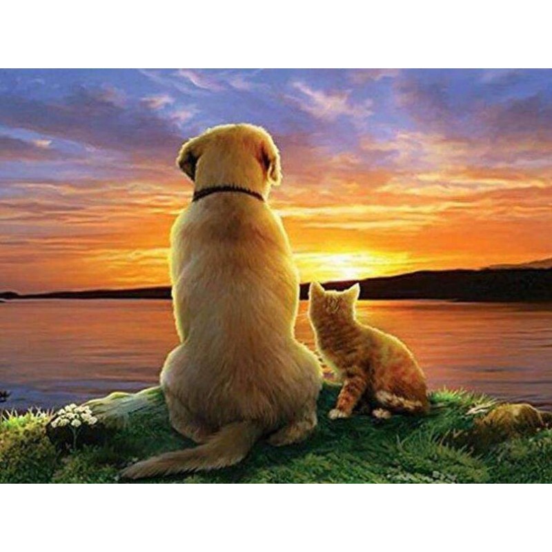 Hund und Katze bei Sonnen...