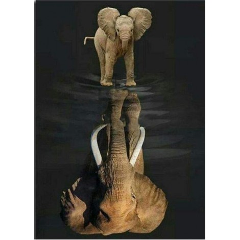 Spiegelbild des Elefanten