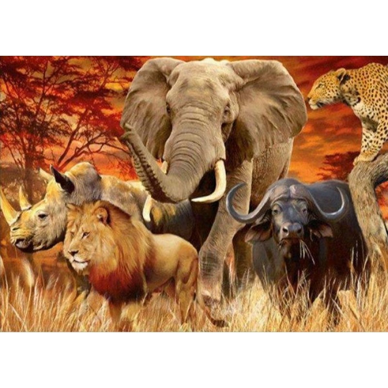 5 Afrikanische Tiere