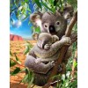 Koala-Bären
