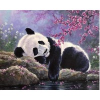 Panda entspannt am Wasser